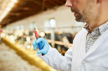  Resistência aos Antimicrobianos no âmbito da agropecuária
