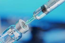 A vacinação de de Gado: Vacine contra Brucelose até 30 de novembro