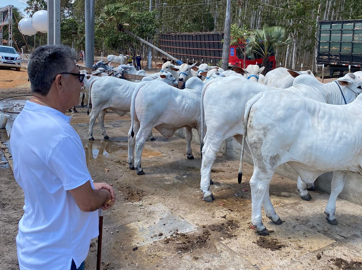 Agricultura em destaque: João Mádison se reúne com Mão Santa na Expoapa