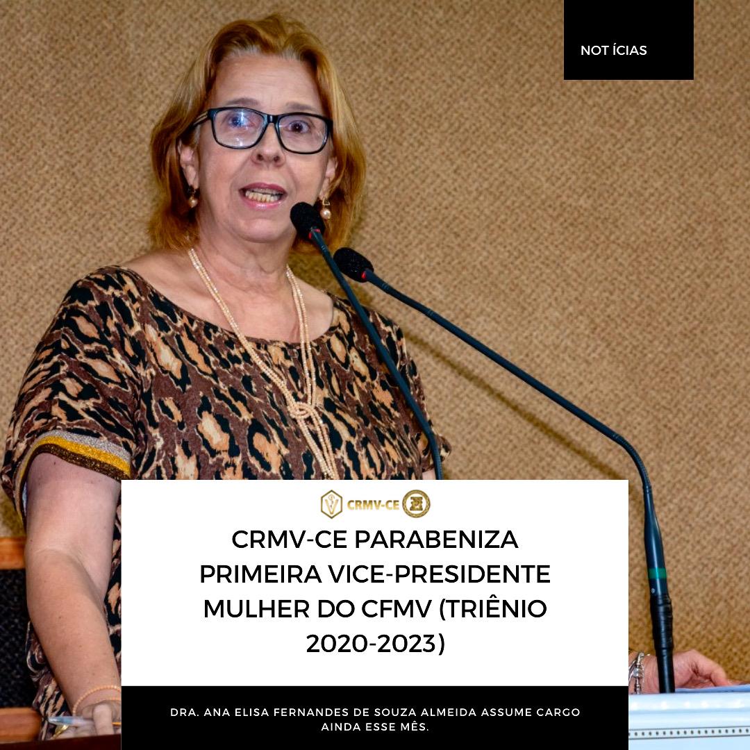 Sessão no Senado Celebra Eleição de Ana Elisa Fernandes à Presidência do CFMV