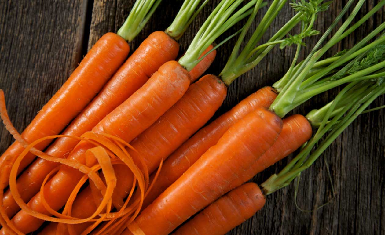 Preços das cenouras tem estabilidade
