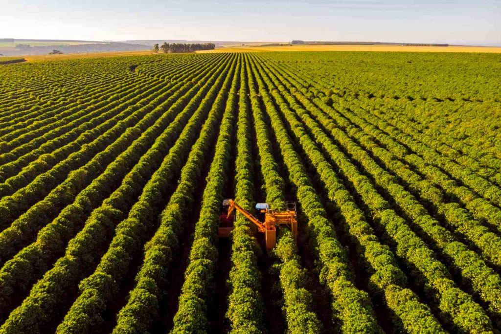 Agro a peça chave para garantir a segurança a alimentar global