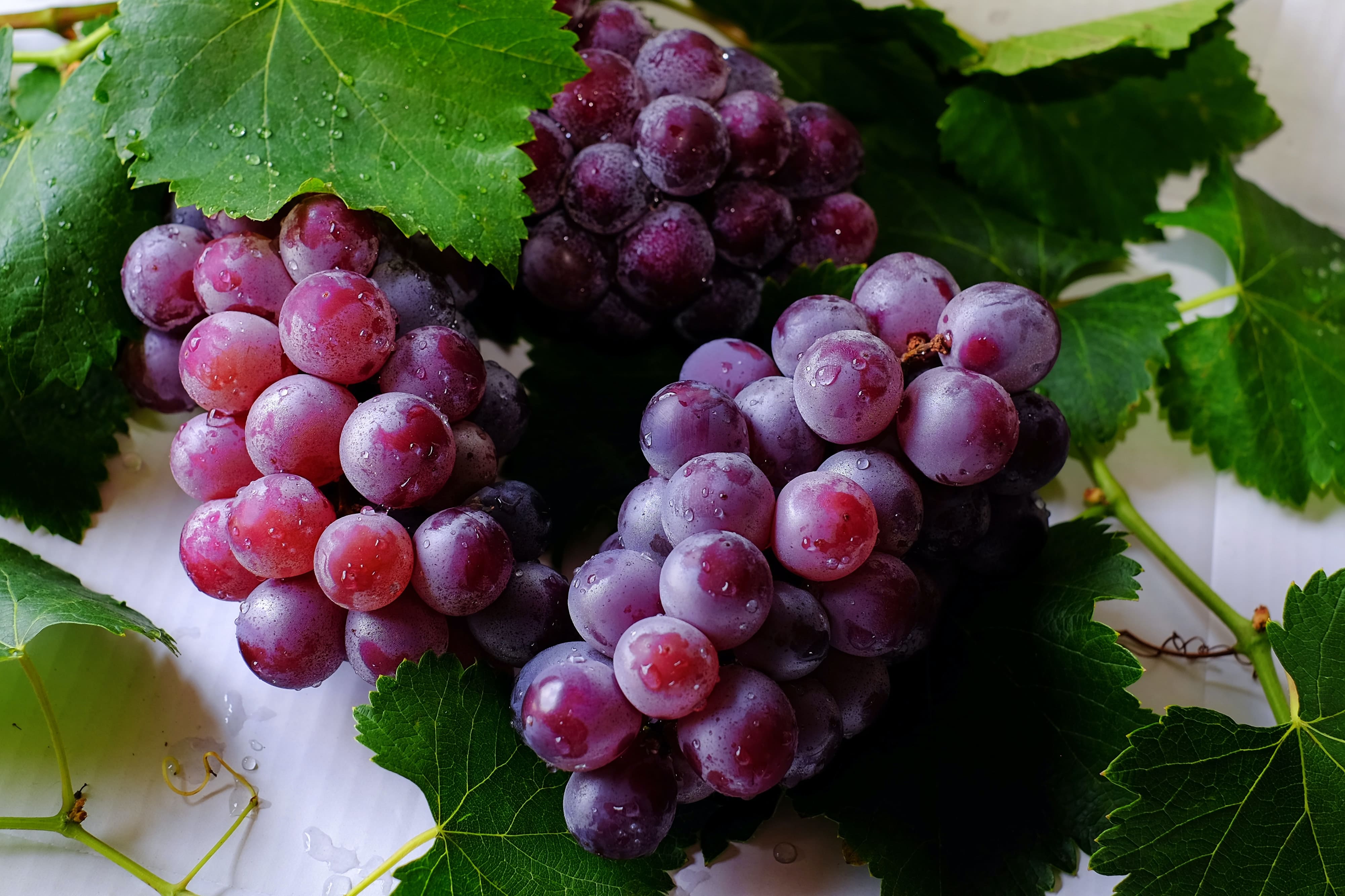 Uvas tem altas demandas nesse fim de ano