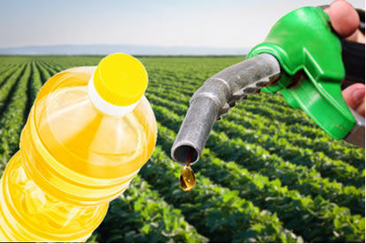 CNPE quer aumentar  a mistura do biodiesel para B14