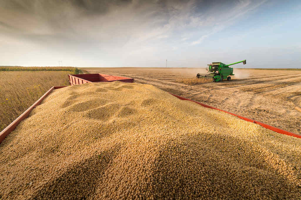 Futura instalação de soja com capacidade 2 mil toneladas