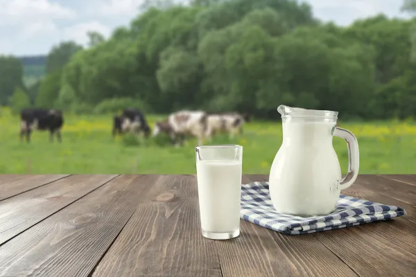Guilherme Portella fala sobre a crise do leite “não virá no curto prazo”