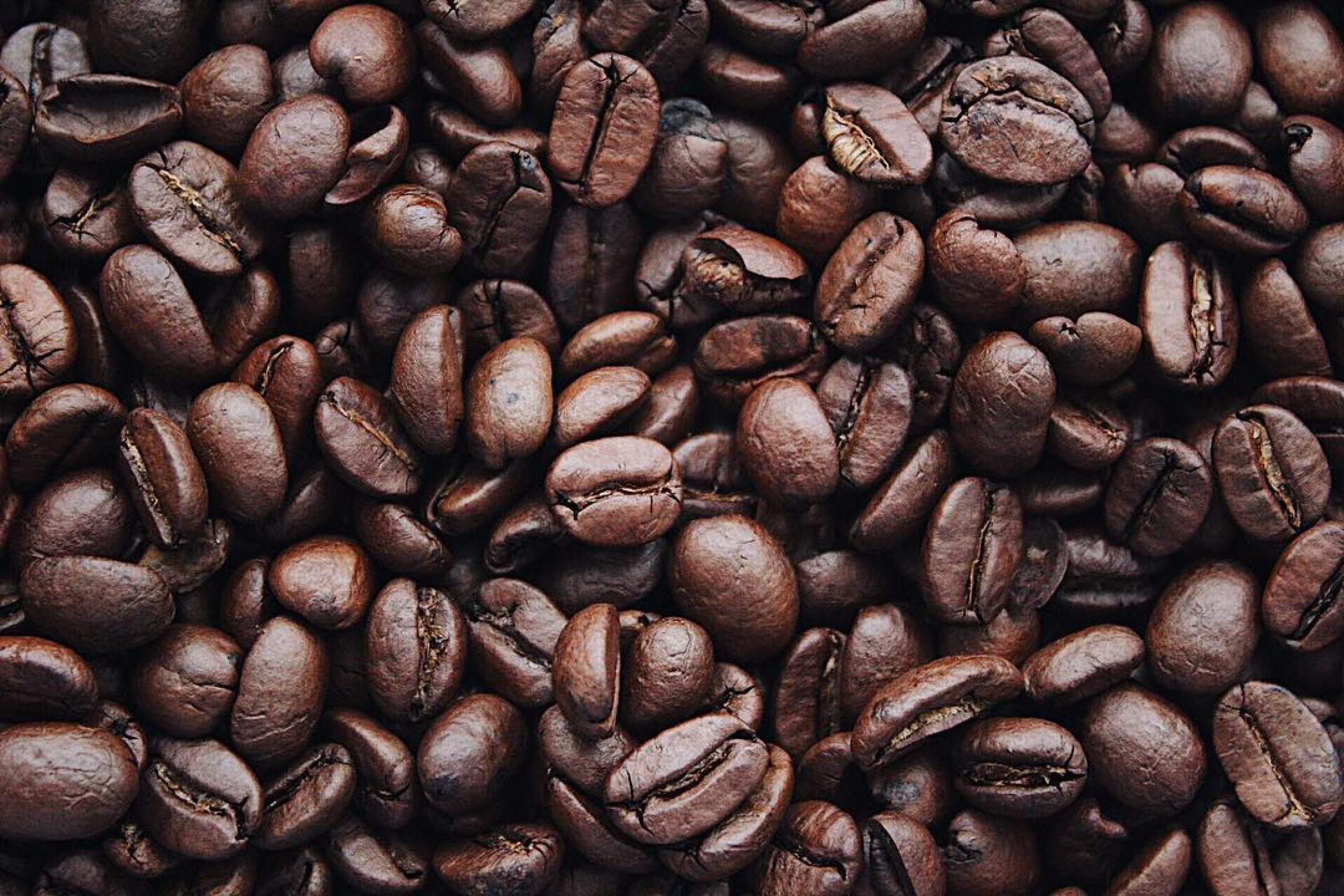 Preços do café arábica registram alta em dezembro