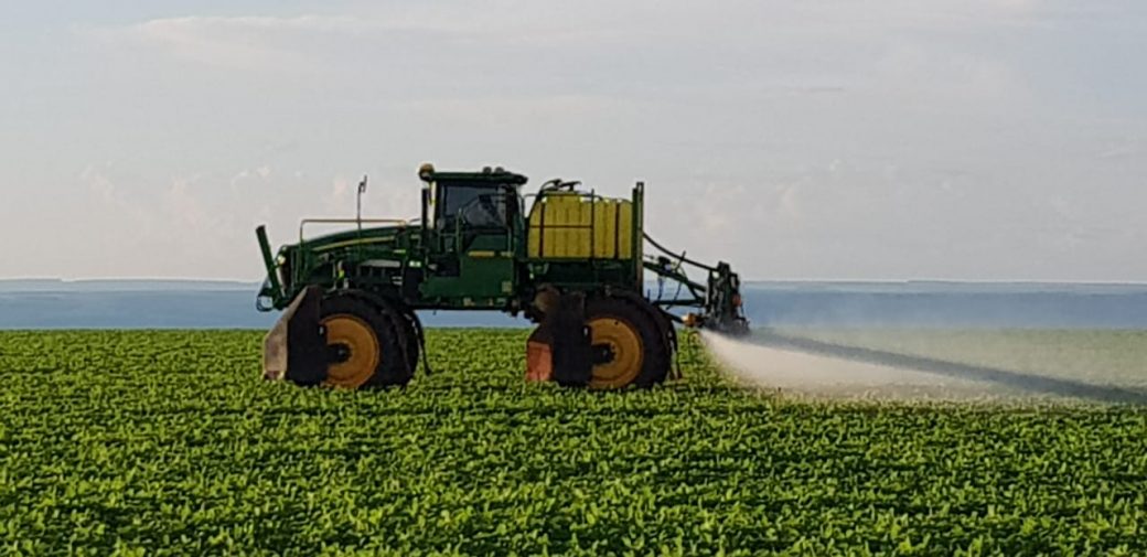 Alta de 42% na produção de soja: papel dos fungicidas multissítio na agricultura