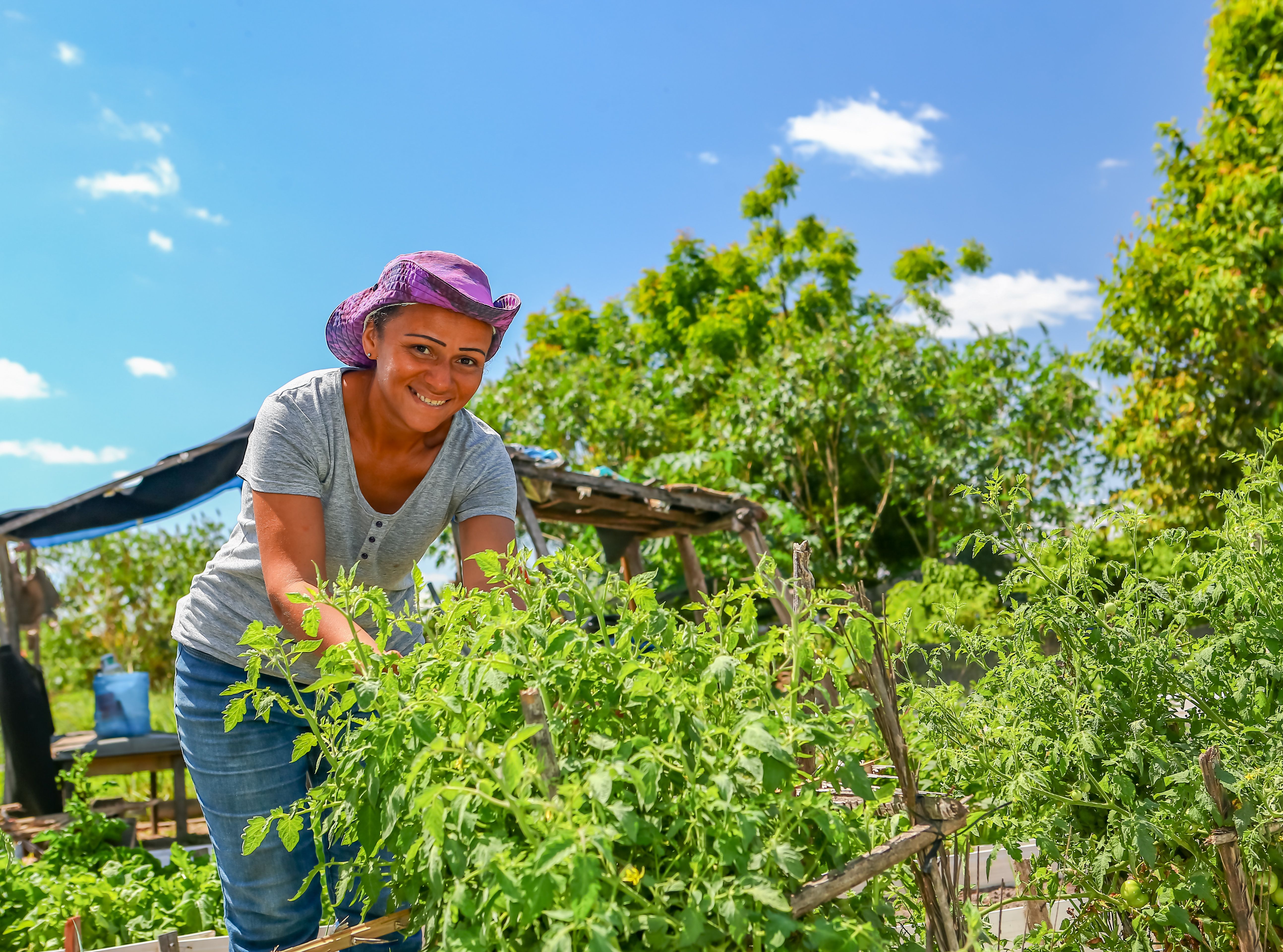 Piauí investe em mulheres rurais para agricultura familiar e segurança alimentar