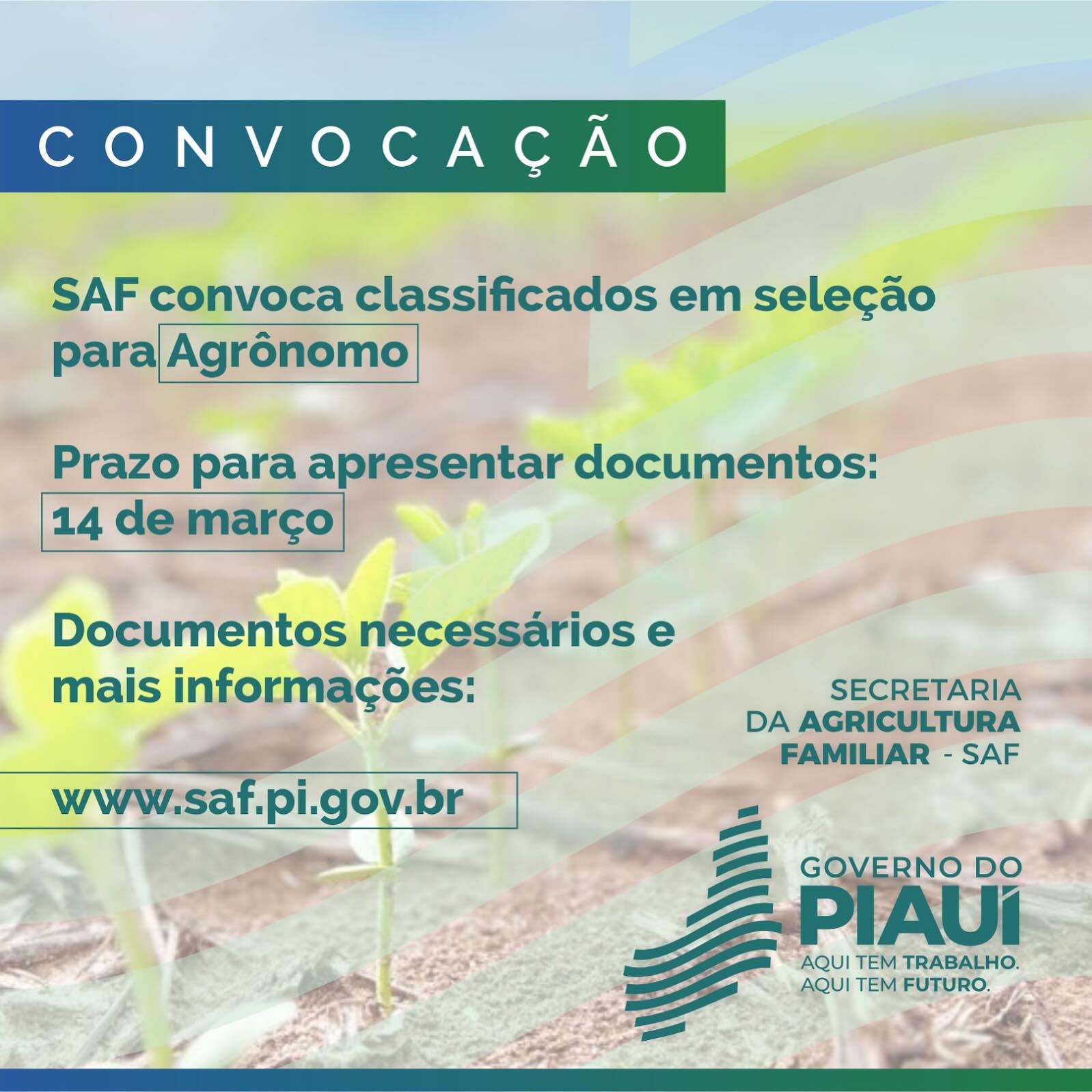 SAF convoca classificados em seleção para Agrônomo