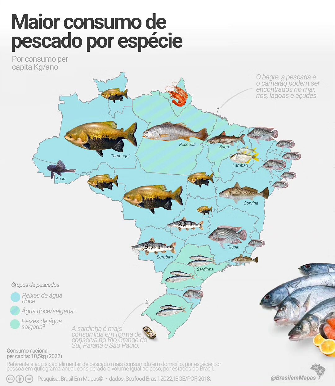 Consumo de pescados no Brasil por espécie