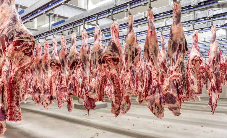 38 frigoríficos brasileiros agora são autorizados a exportar carnes para a China