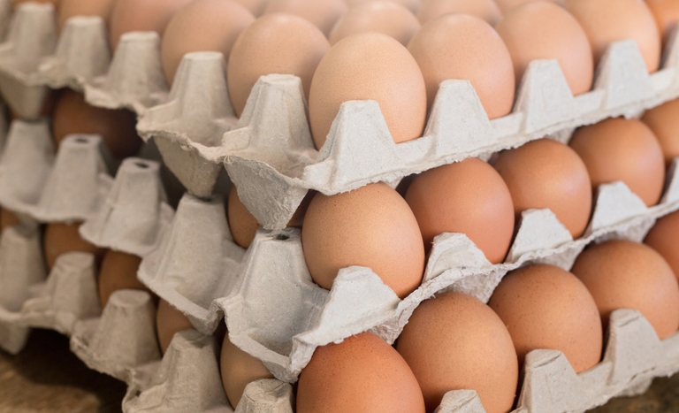 Brasil recebe aprovação para exportar ovos e produtos derivados para a Rússia