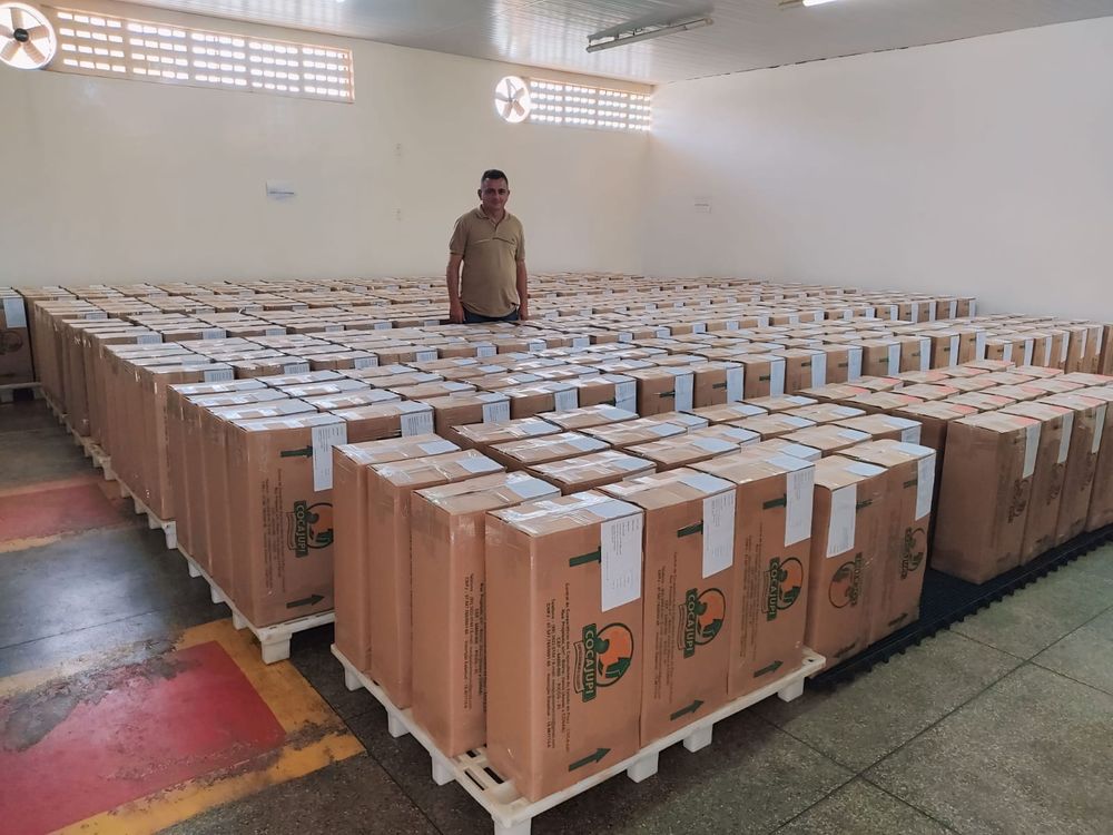 Cooperativa familiar exporta 25 toneladas de castanhas do Piauí para a Itália
