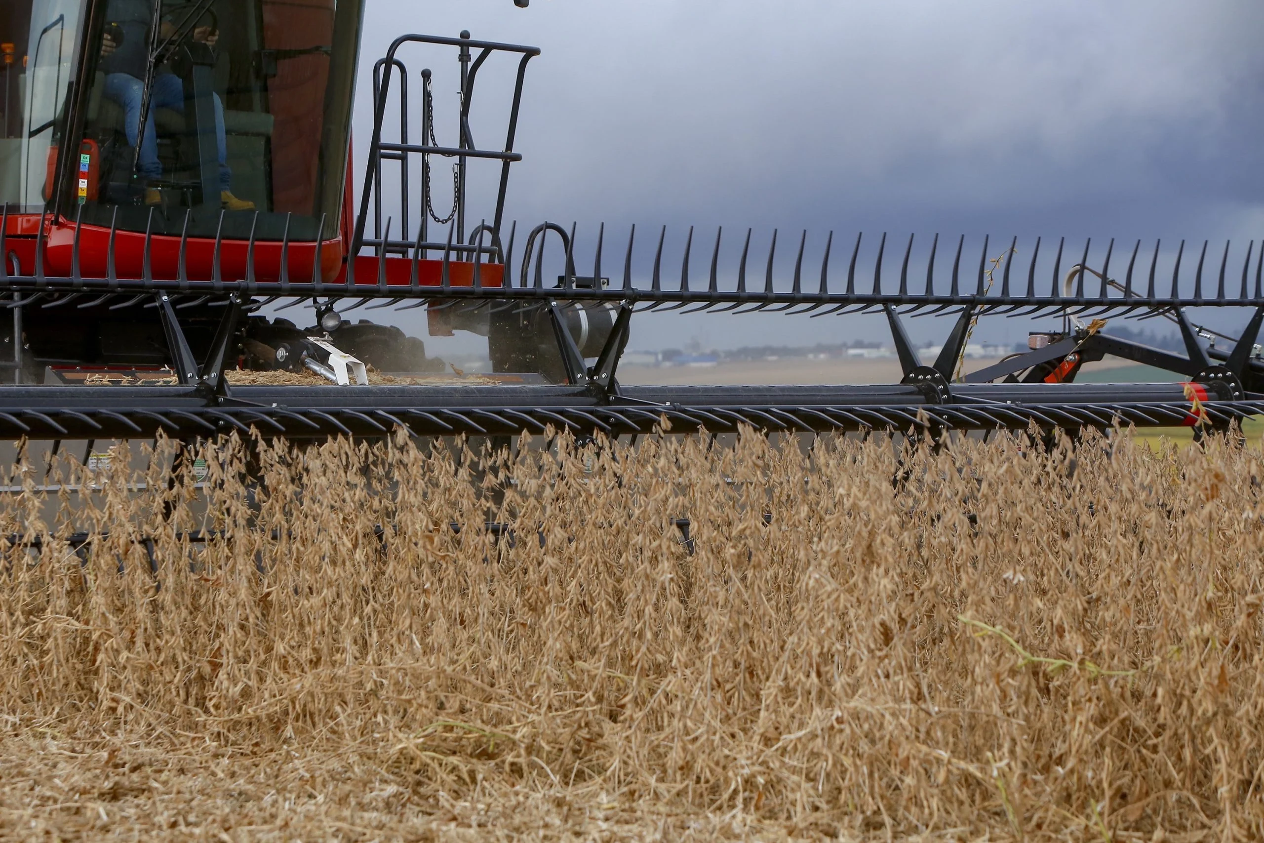 Redução de chuvas permite avanço da colheita da soja no RS