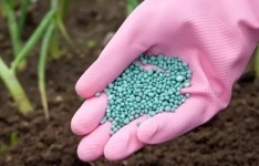 Preços de fertilizantes importados continuam altos comparados aos preços pré-pandemia