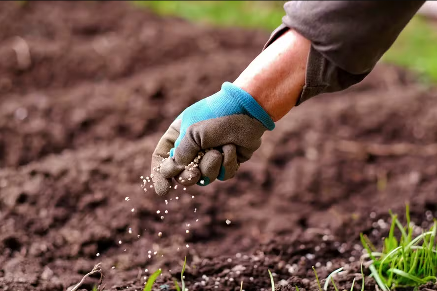 Venda de fertilizante começa a dar sinais de reação no país