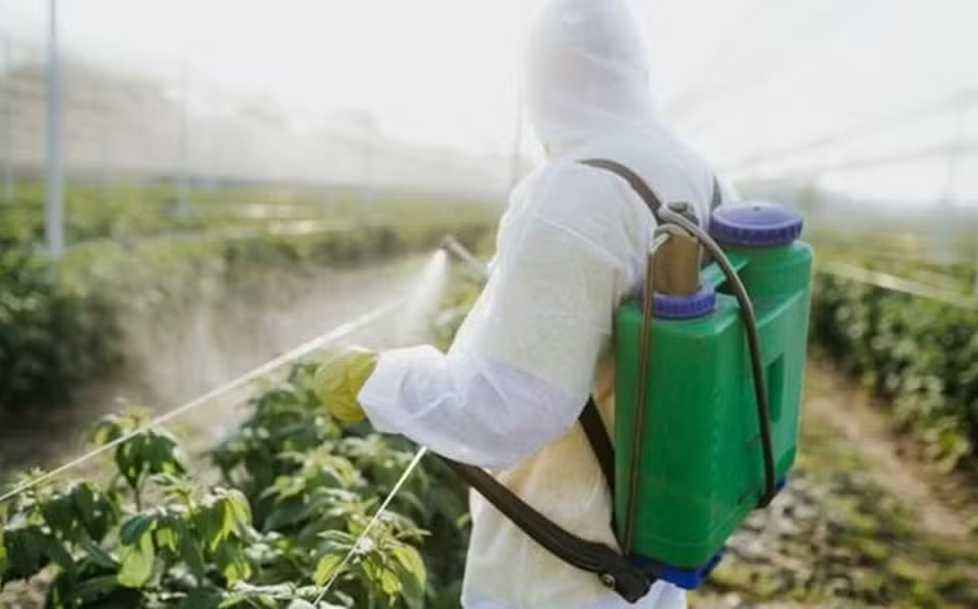Tribunal reduz para US$ 400 milhões indenização a ser paga pela Monsanto em caso de herbicida