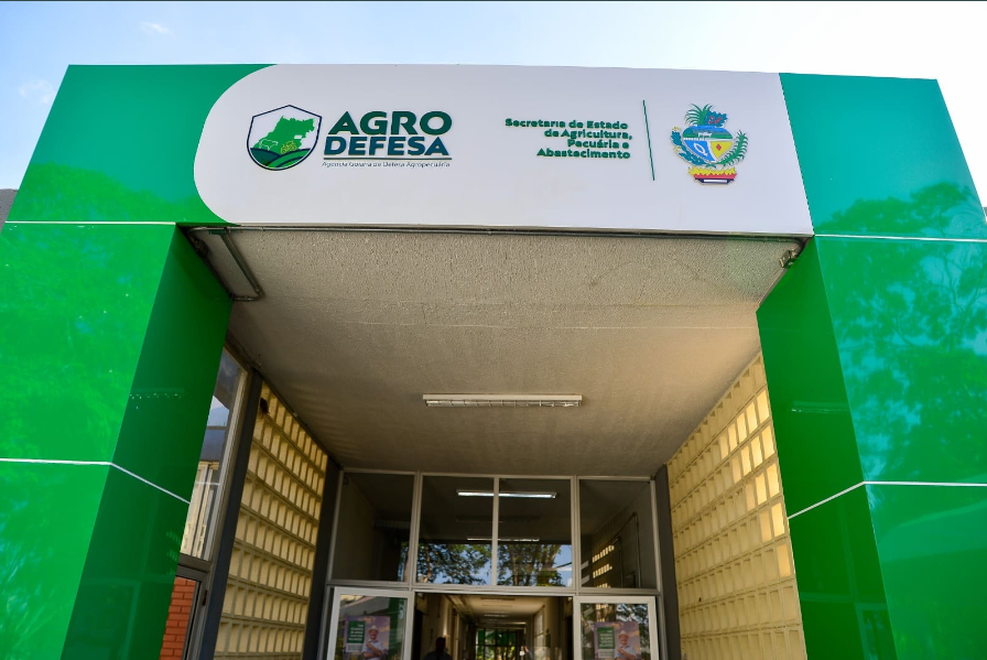 Agrodefesa intensifica trabalho de inspeção fitossanitária para evitar entrada da praga Amaranthus Palmeri em Goiás