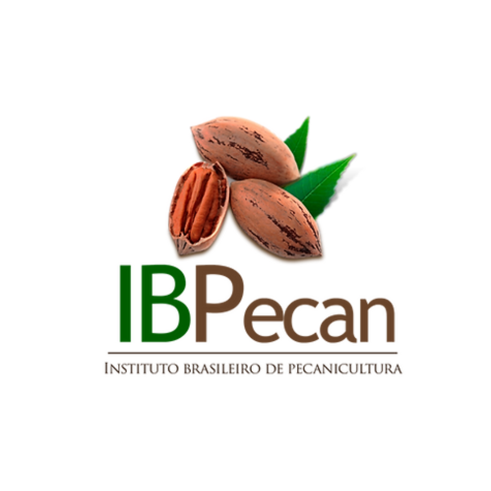 IBPecan clama por esforços do governo federal em abrir novos mercados