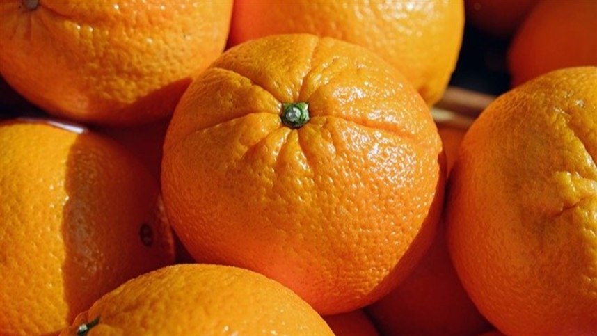 Moagem deve impulsionar preço da laranja in natura