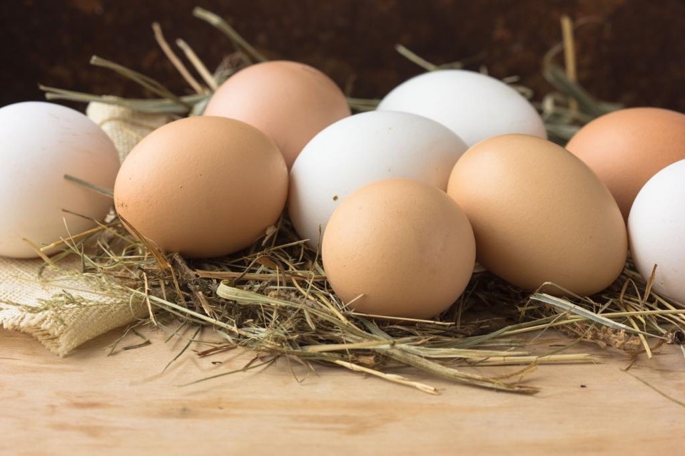 Diferença de preços entre ovos brancos e vermelhos no ES atinge recorde