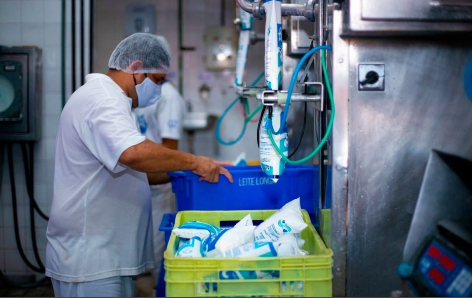 Piauí busca recuperar produção de leite com novos benefícios fiscais