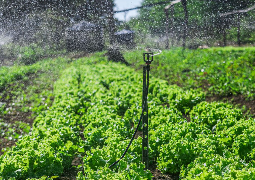 SAF entrega kits de irrigação para agricultores familiares de 60 municípios nesta sexta (05/07)