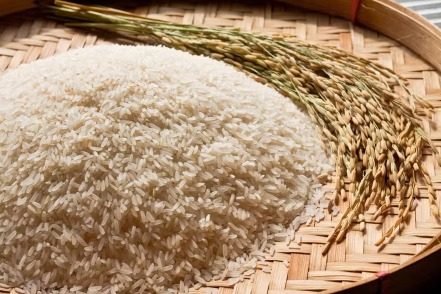 Se preço do arroz subir, novos leilões serão realizados, diz ministro