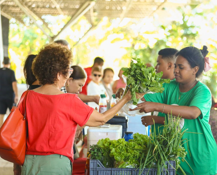 Alta na produção de hortaliças impulsiona vendas na Quitanda da Agricultura Familiar