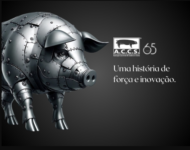 ACCS 65 anos: força e inovação na suinocultura catarinense
