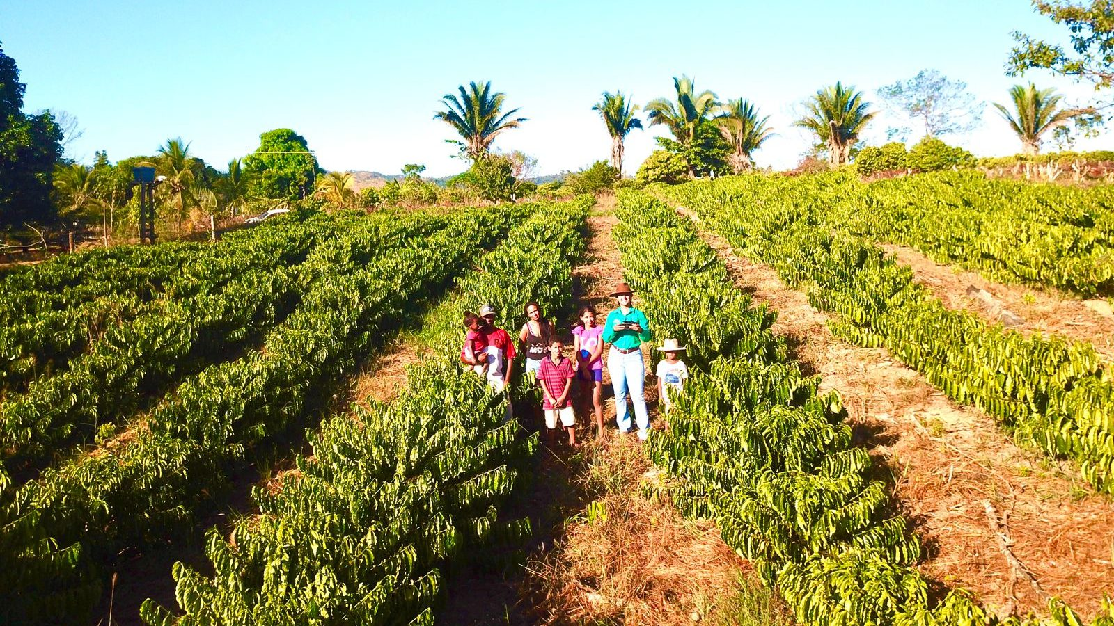 Produtor rural supera desafios com a energia do café e assistência do Senar-MT