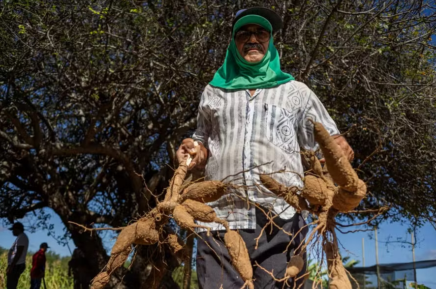 Mudas biofortificadas promovem segurança alimentar no Sertão