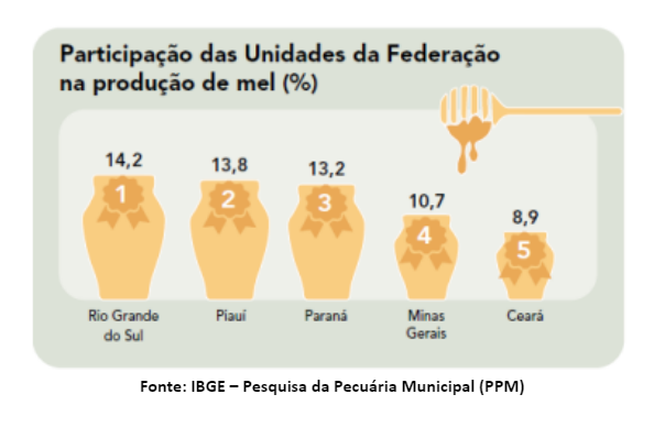 Produção de mel no Piauí quase triplica se torna a segunda maior do Brasil