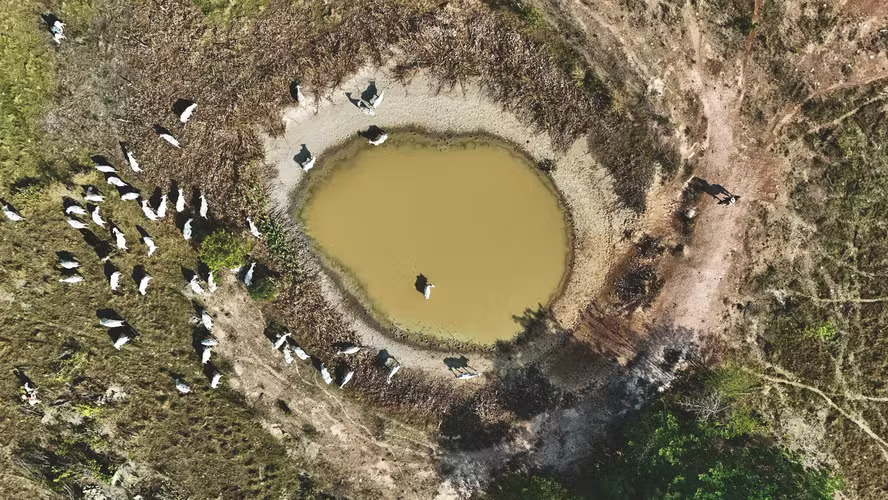 Conservação e uso eficiente da natureza são soluções em tempos de seca