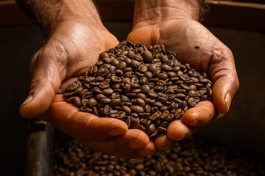 Café segue volátil e preço sobe na abertura da bolsa de Nova York