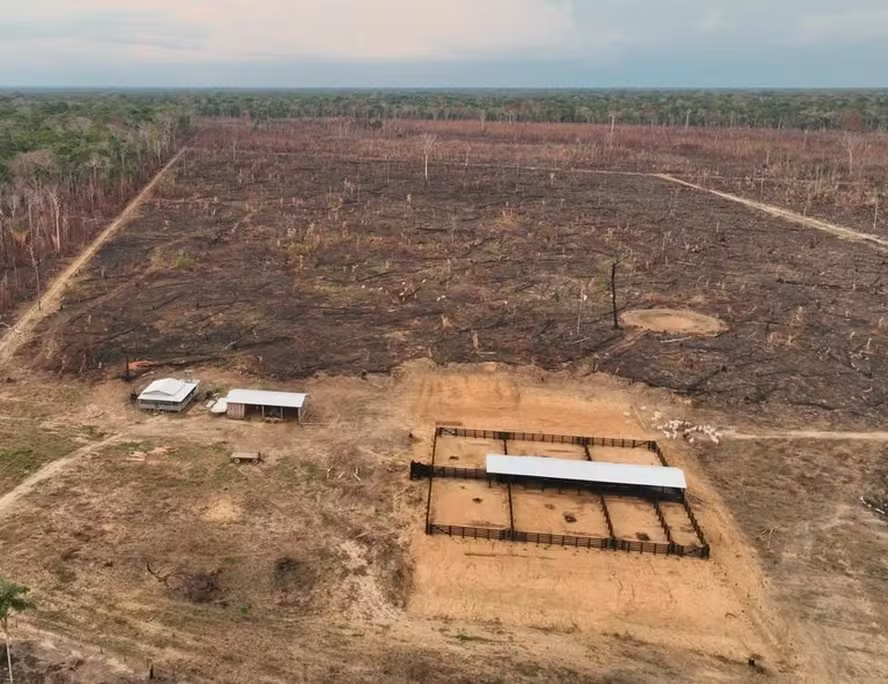 Operação Dracarys: PF desarticula rede criminosa responsável por devastadores desmatamentos e queimadas na Amazônia