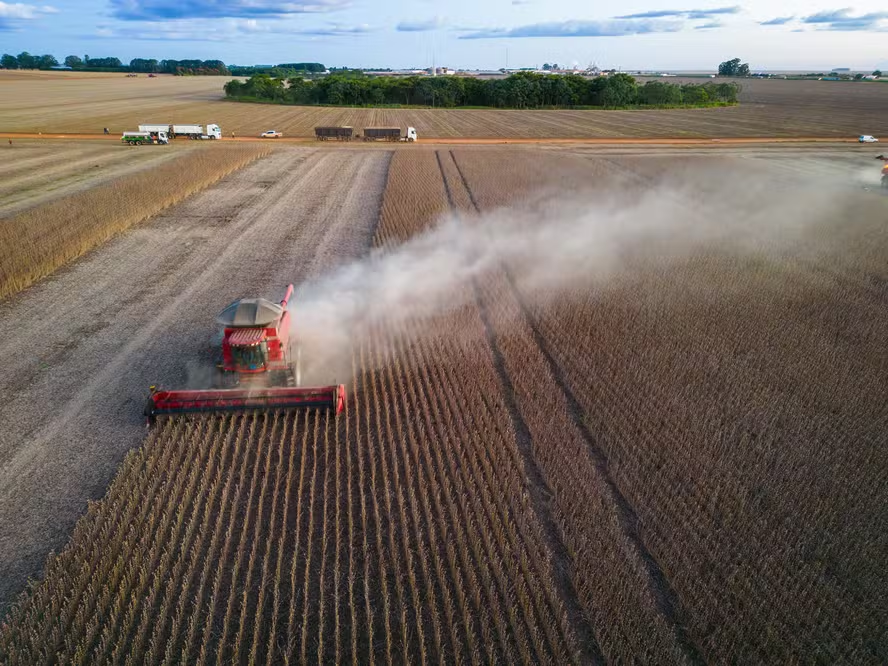 Agro em crise: Crescimento de 40,6% em pedidos de recuperação judicial preocupa o setor