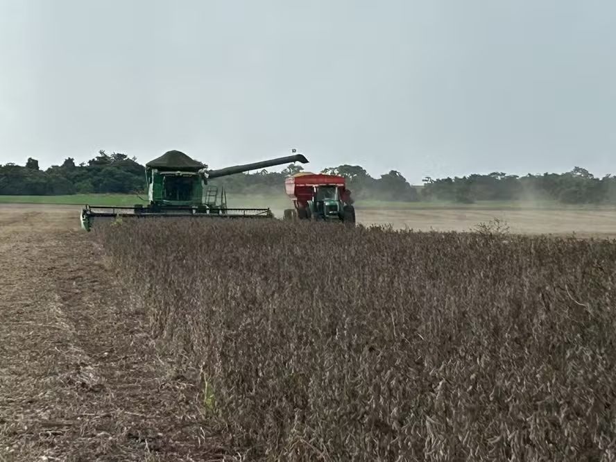 Produtor rural dobrou pedidos de recuperação judicial no 2º trimestre