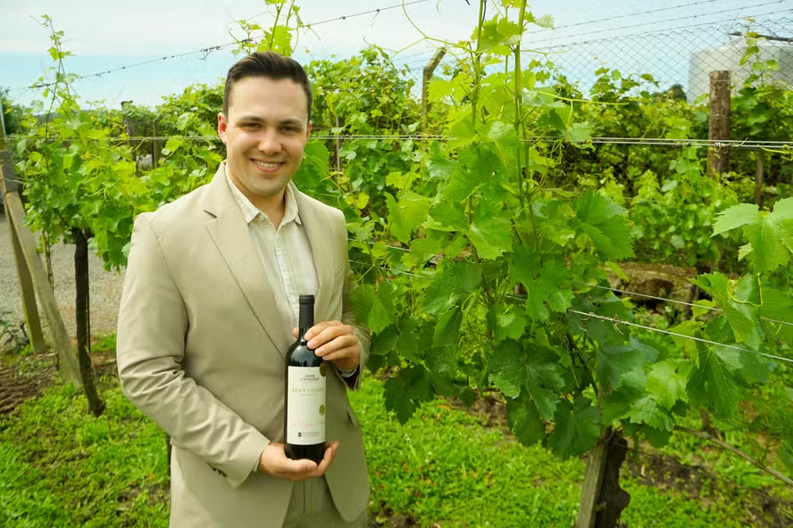 Vinhos do RS terão sua primeira ‘safra token’