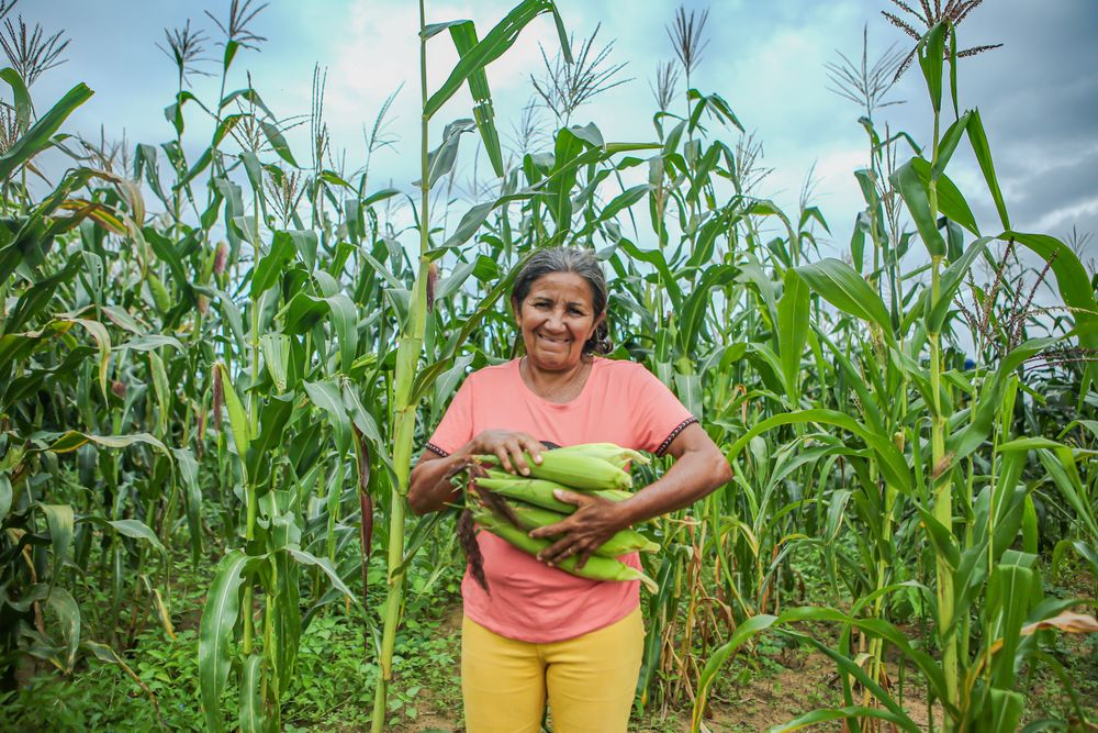 Empoderamento no campo: Mulheres produzem 80% dos alimentos do PAA