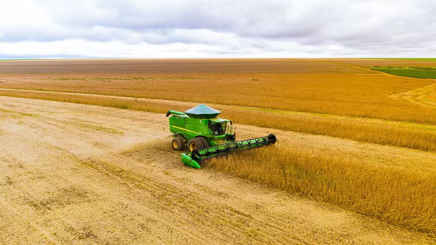 Soja em alta: Mato Grosso registra maior valor médio do ano