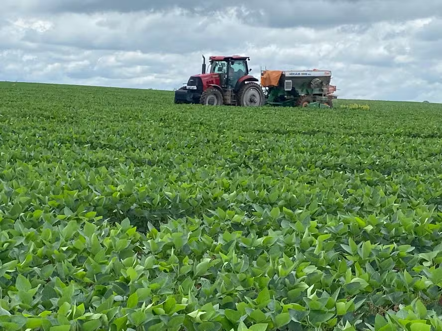 Preço da soja segue em queda com avanço das safras no Brasil e EUA