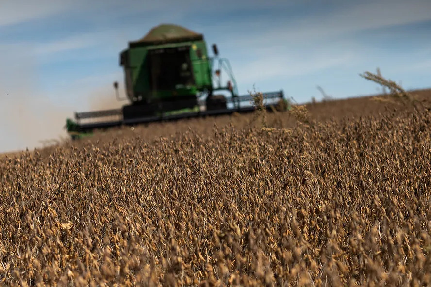 PIB do agronegócio caiu 1,28% no segundo trimestre, diz estudo