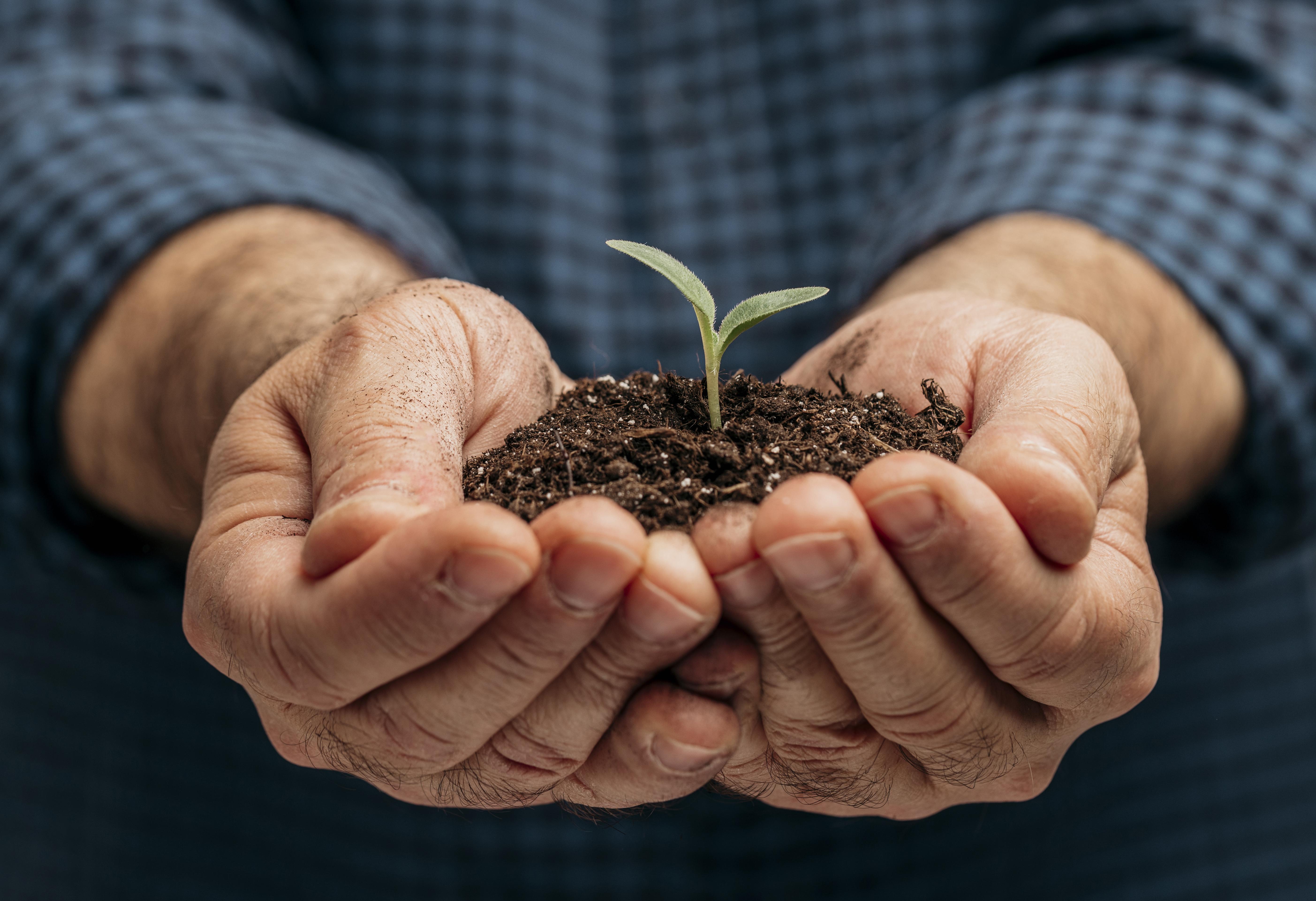 Rodobens acompanha tendências no setor de consórcios agrícolas