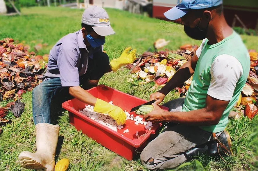 Agricultura familiar da Bahia será tema do ‘Globo Rural em Campo’