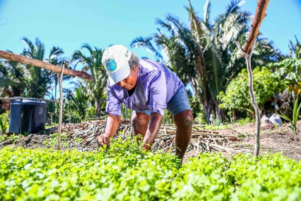 Como o Piauí pode aproveitar a população rural para gerar mais empregos