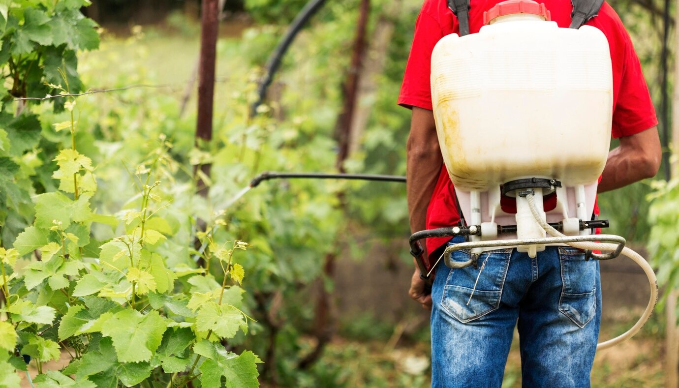 Uso de defensivos agrícolas cresce 9,2% no Brasil em 2024