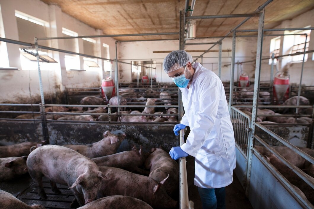 Exportações de carne suína brasileiras crescem em fevereiro e superam resultados de 2024/25