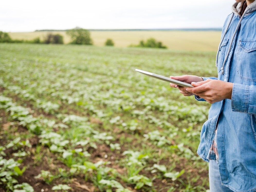 Meteorologia: aliada essencial do agronegócio